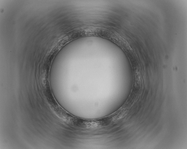 X0000072970698200608111716