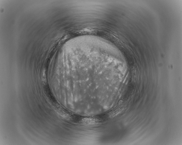 X0000072970699200608111716