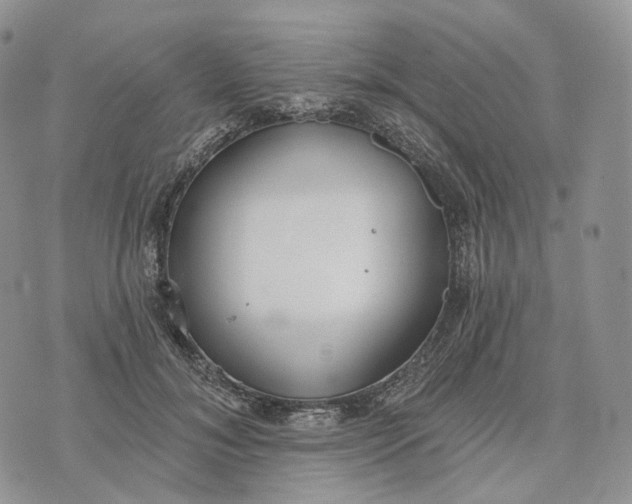 X0000072970700200608111716