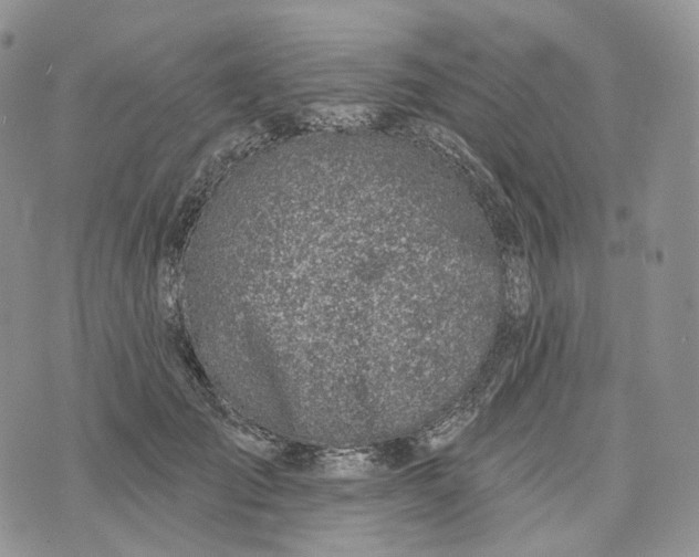 X0000072970701200608111716