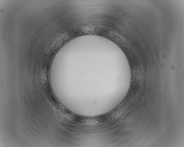 X0000072970702200608111716