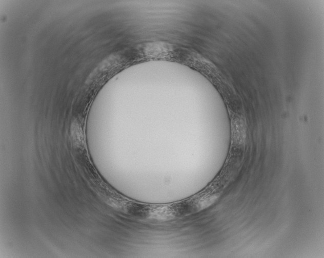 X0000072970705200608111716