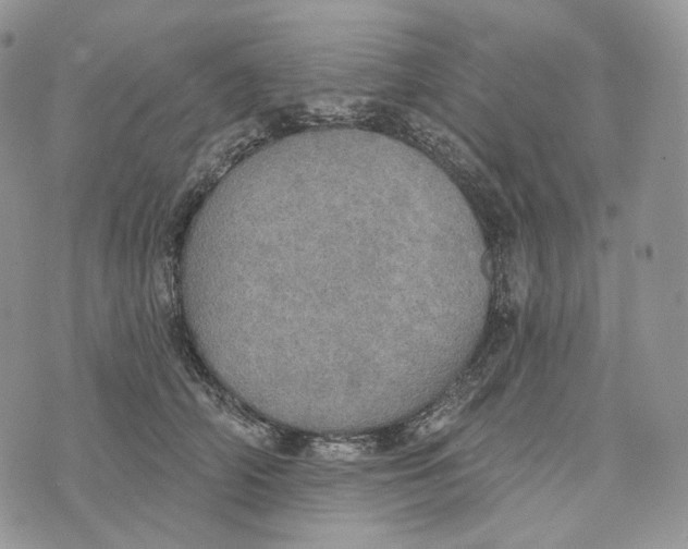 X0000072970706200608111716