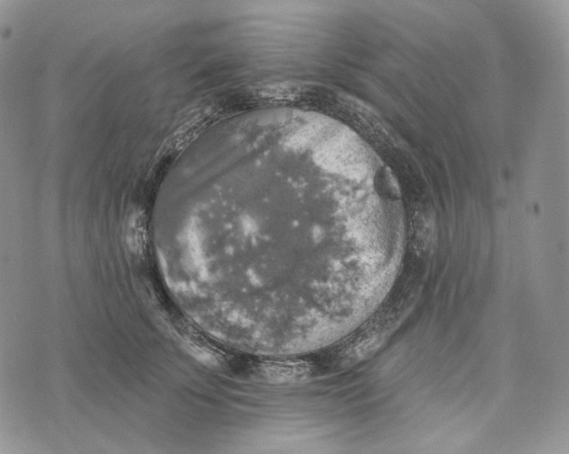 X0000072970707200608111716