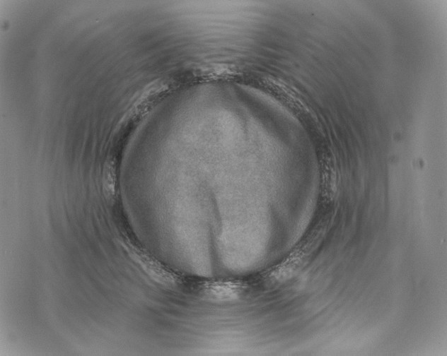 X0000072970710200608111716