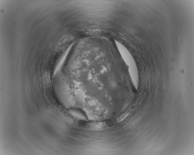 X0000072970711200608111716