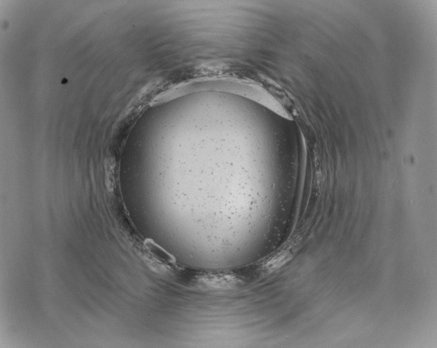 X0000072970712200608111716