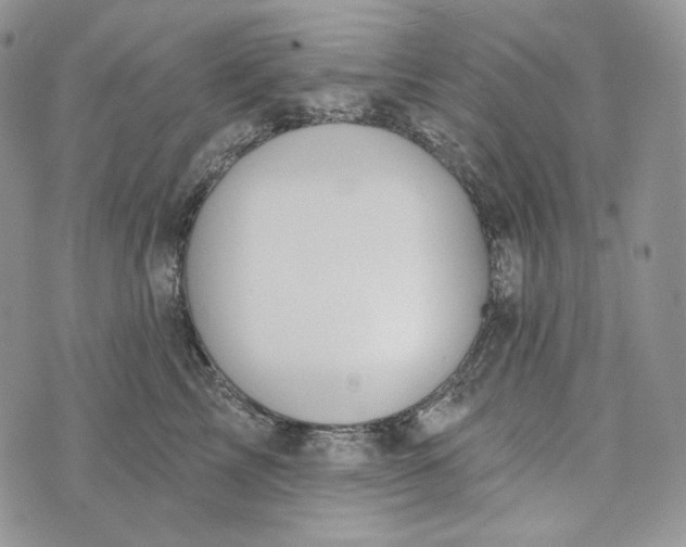 X0000072970713200608111716