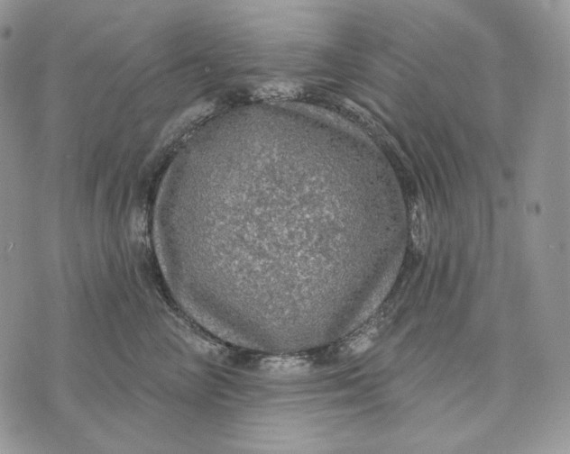 X0000072970714200608111716