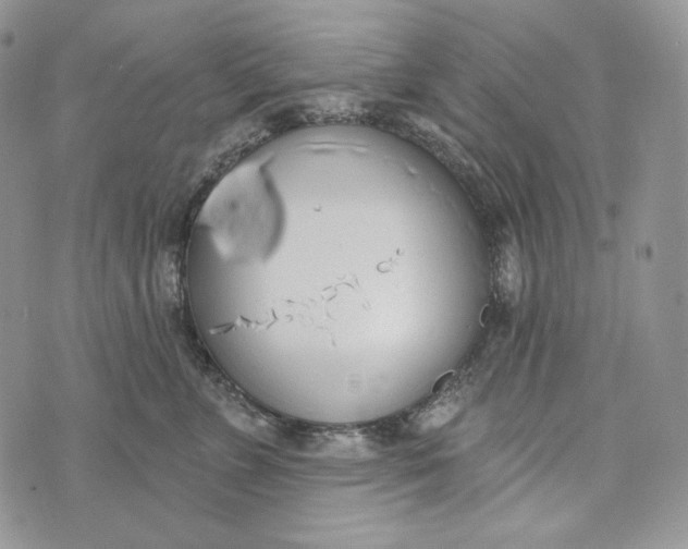 X0000072970715200608111716