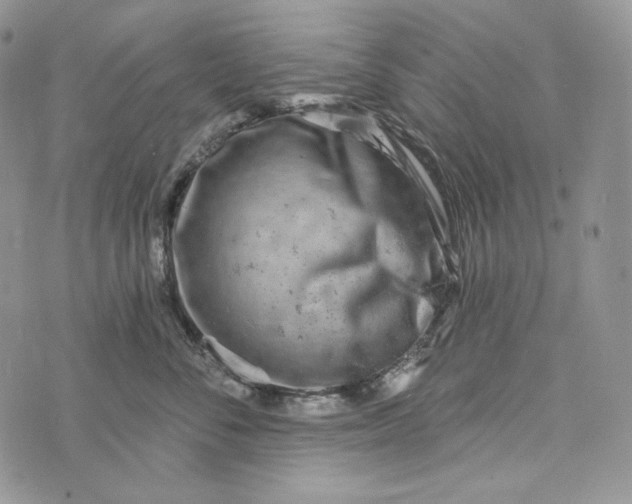 X0000072970716200608111716