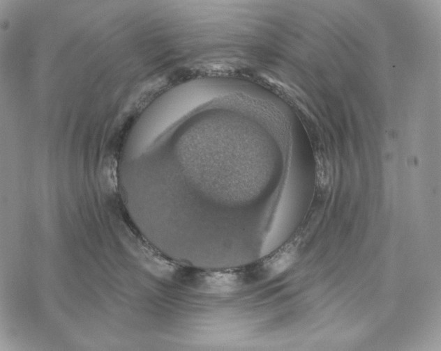 X0000072970718200608111716