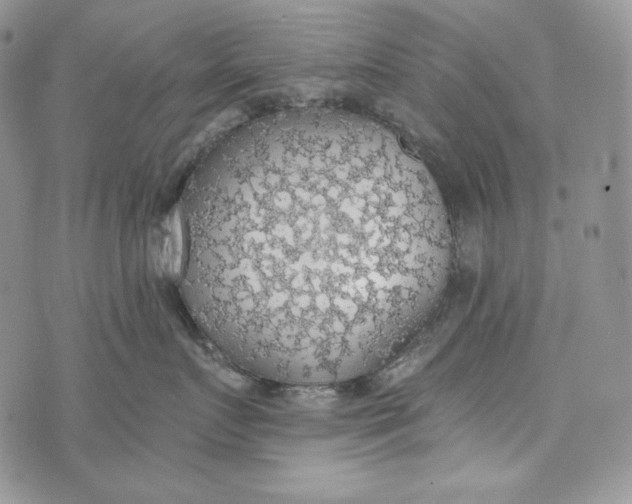 X0000072970719200608111716