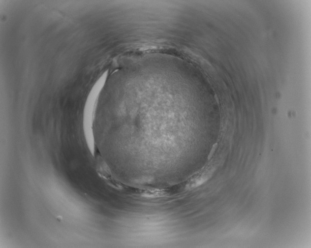 X0000072970720200608111716