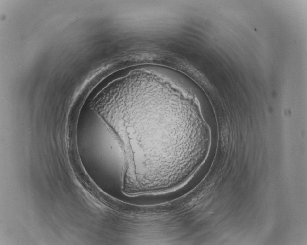 X0000072970722200608111715