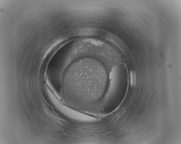 X0000072970723200608111715