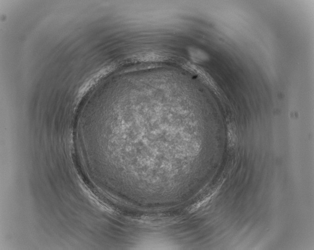 X0000072970725200608111715