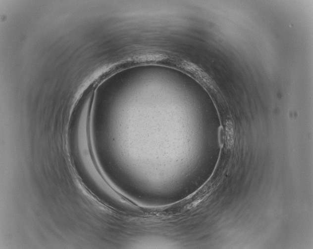 X0000072970726200608111715