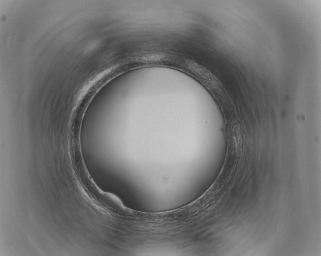 X0000072970728200608111715