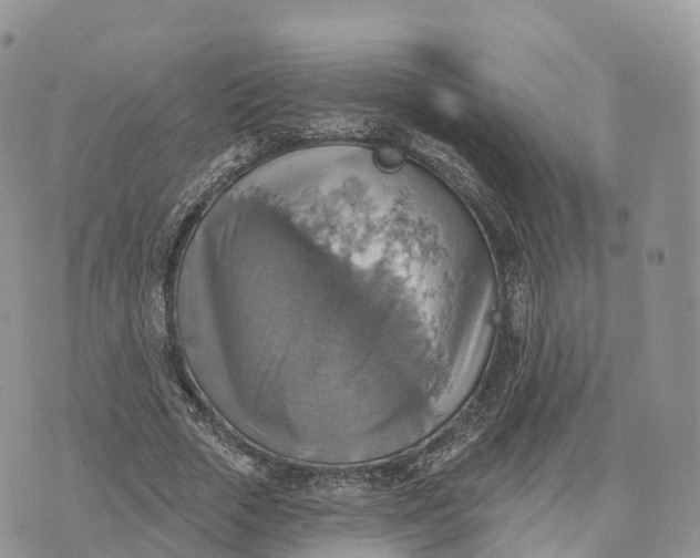 X0000072970729200608111715