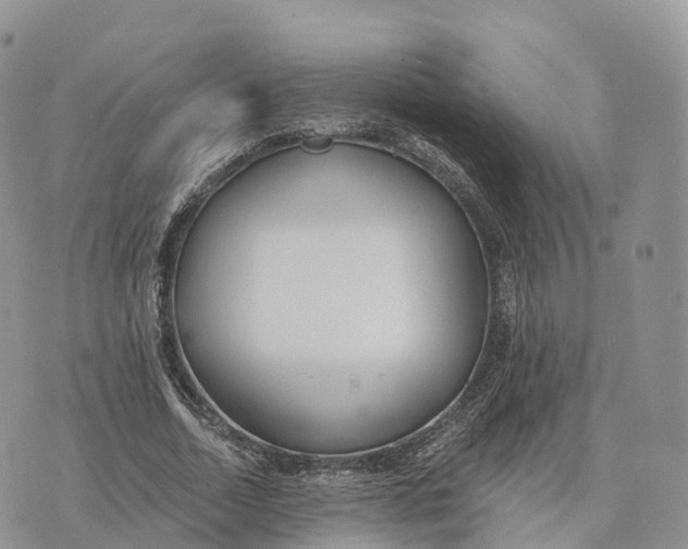 X0000072970730200608111715