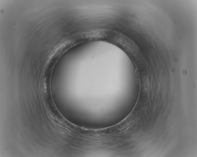 X0000072970731200608111715