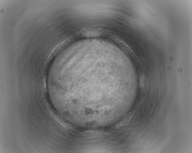 X0000072970733200608111715