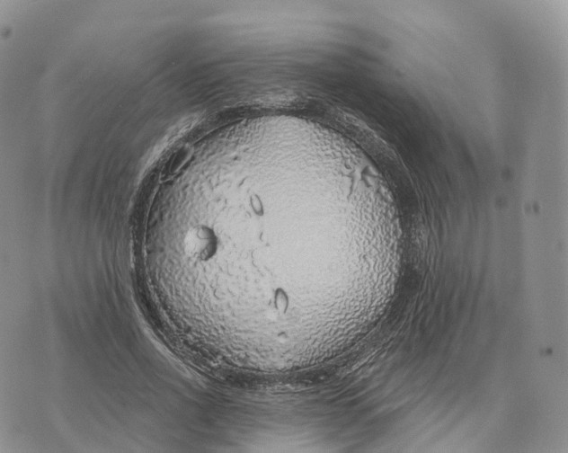 X0000072970734200608111715