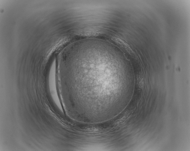 X0000072970735200608111715