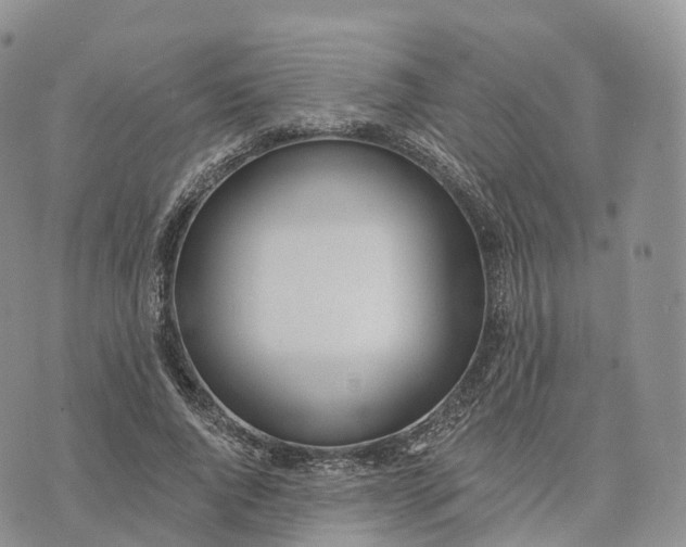 X0000072970736200608111715