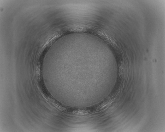 X0000072970739200608111715