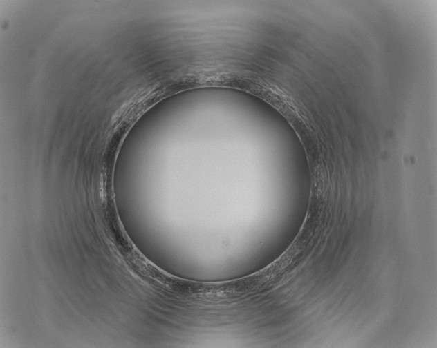 X0000072970740200608111716