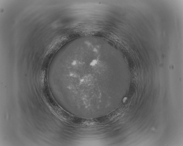 X0000072970742200608111716