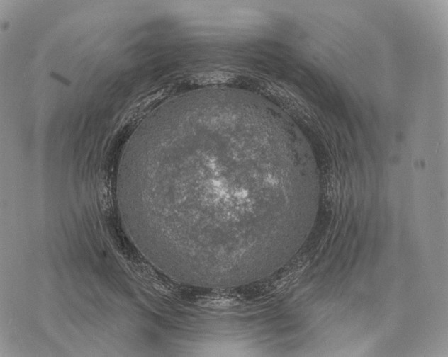 X0000072970743200608111716