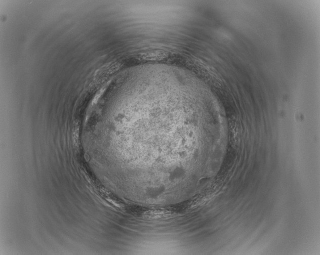 X0000072970745200608111716