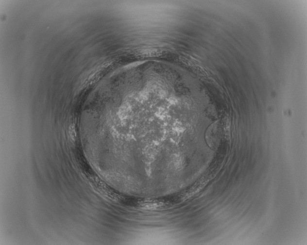 X0000072970746200608111716