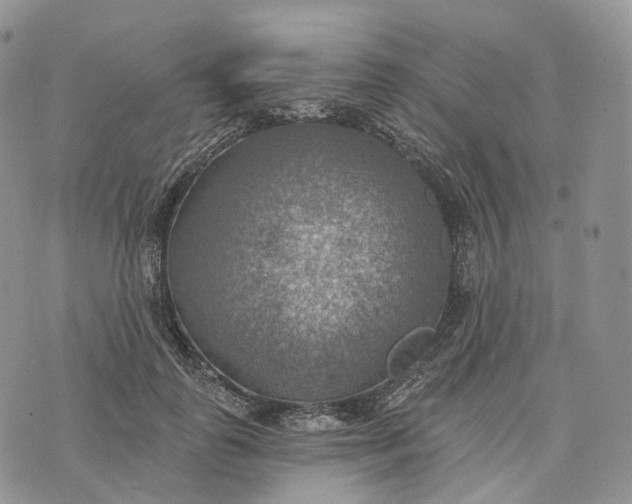 X0000072970747200608111716