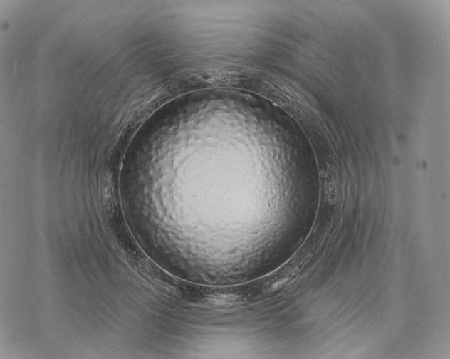 X0000072970748200608111716