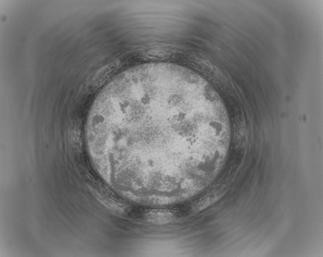 X0000072970749200608111716