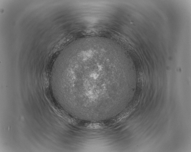 X0000072970751200608111716