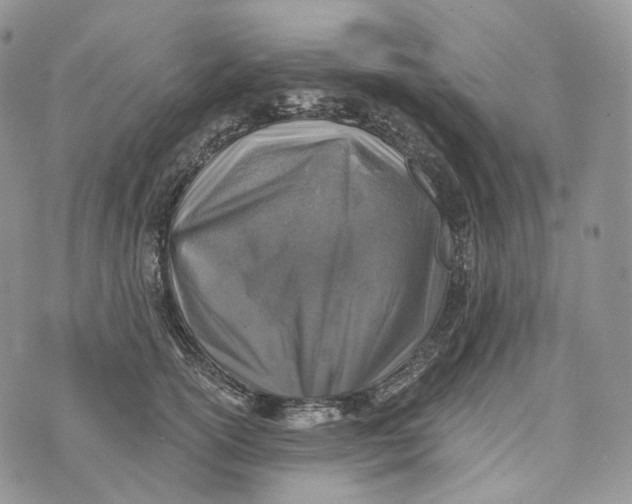 X0000072970754200608111716