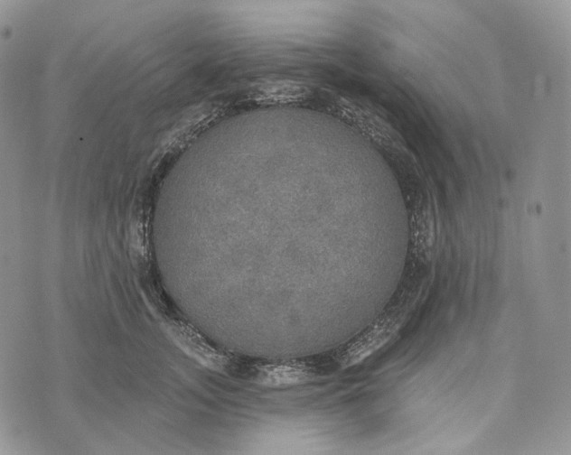 X0000072970755200608111716