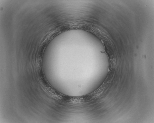 X0000072970756200608111716