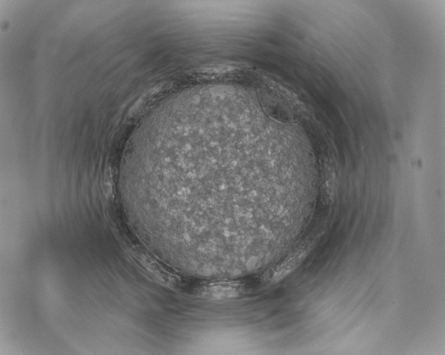 X0000072970758200608111716