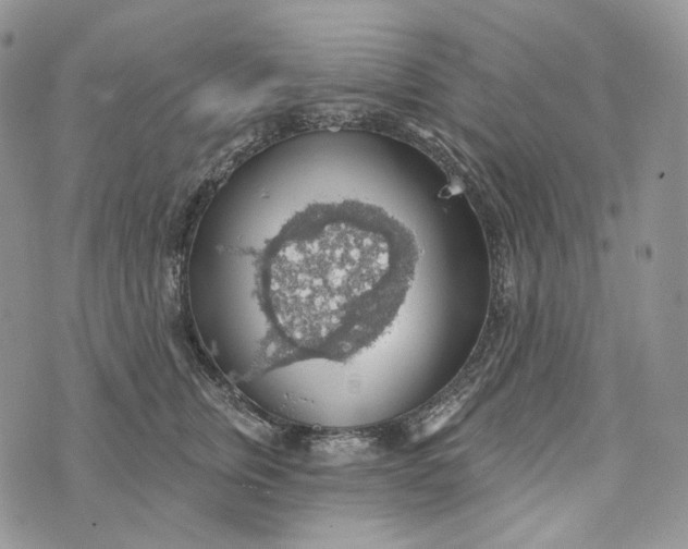 X0000072970759200608111716