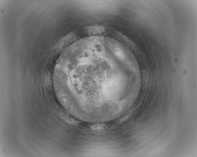 X0000072970761200608111716