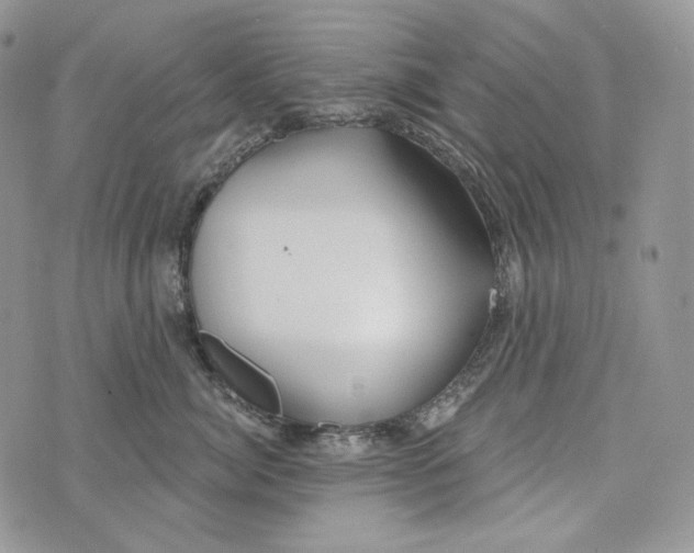 X0000072970764200608111716