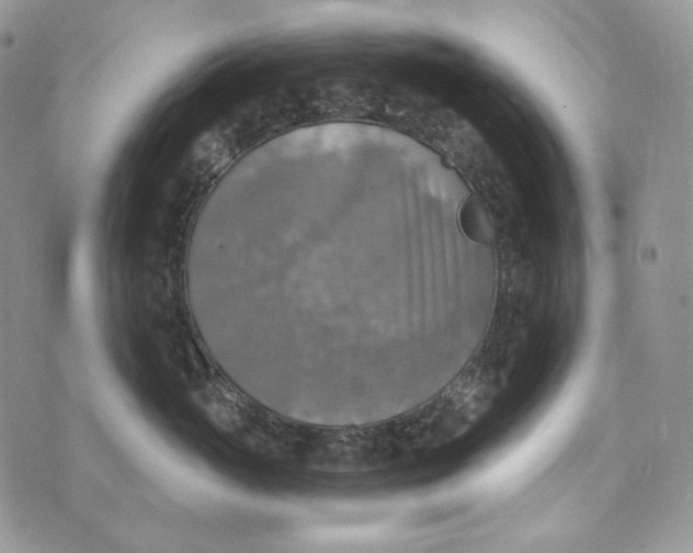 X0000072970765200608111716