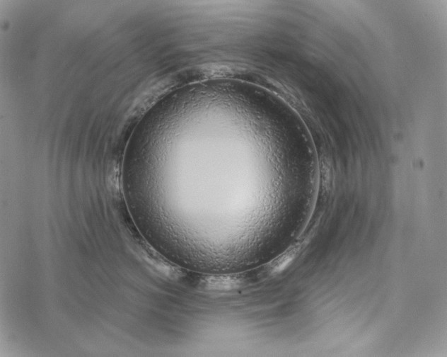 X0000072970766200608111716