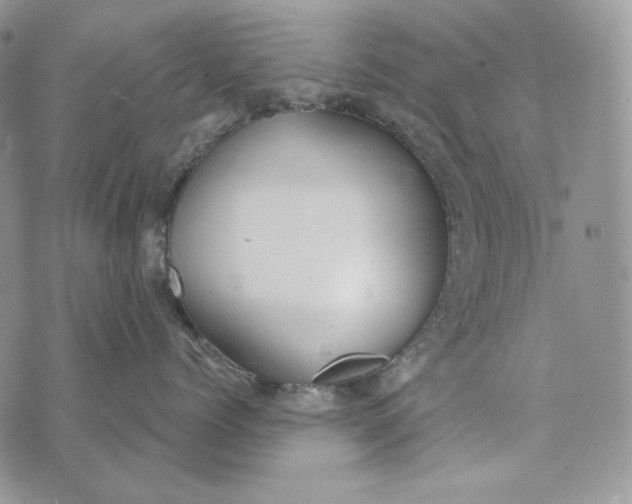 X0000072970768200608111716